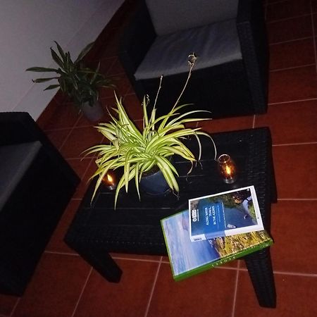 蓬塔德尔加达Casa 84公寓 外观 照片